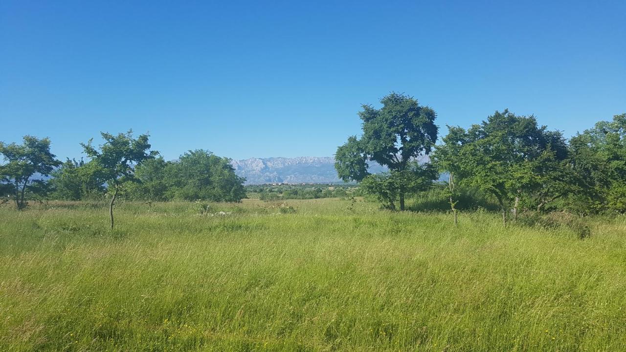 Savrsen Odmor U Ivona Villa *